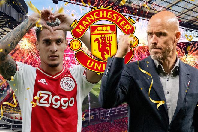 尼科并没有 尼科并没有